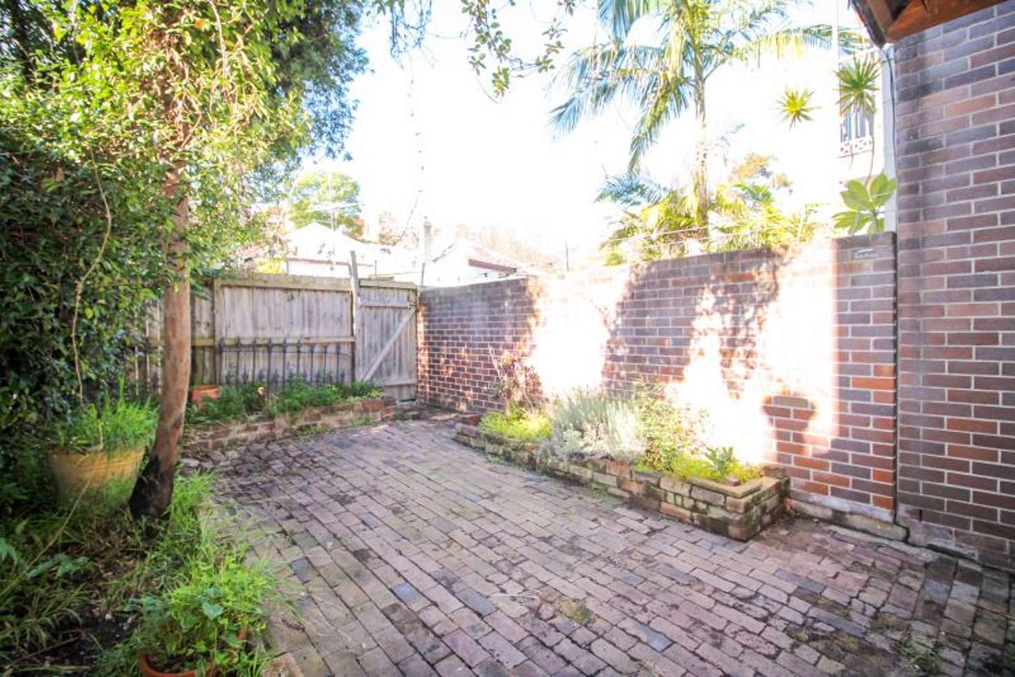 Main view of Homely terrace listing, 38 Kepos Street, Redfern NSW 2016