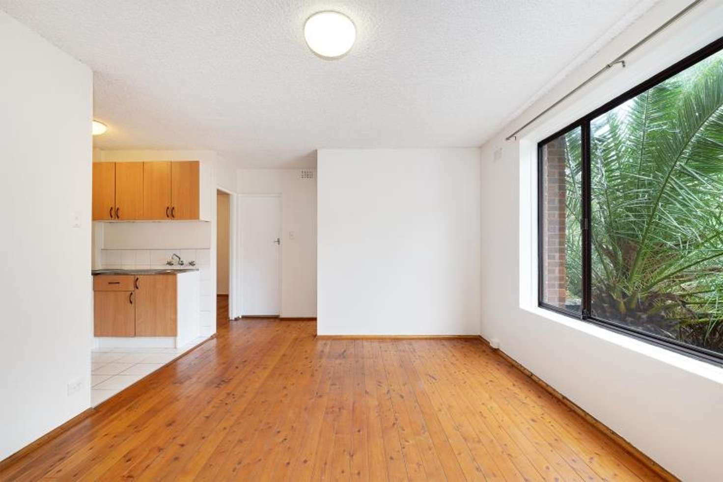 Main view of Homely apartment listing, 3/295 Avoca Street, Randwick NSW 2031