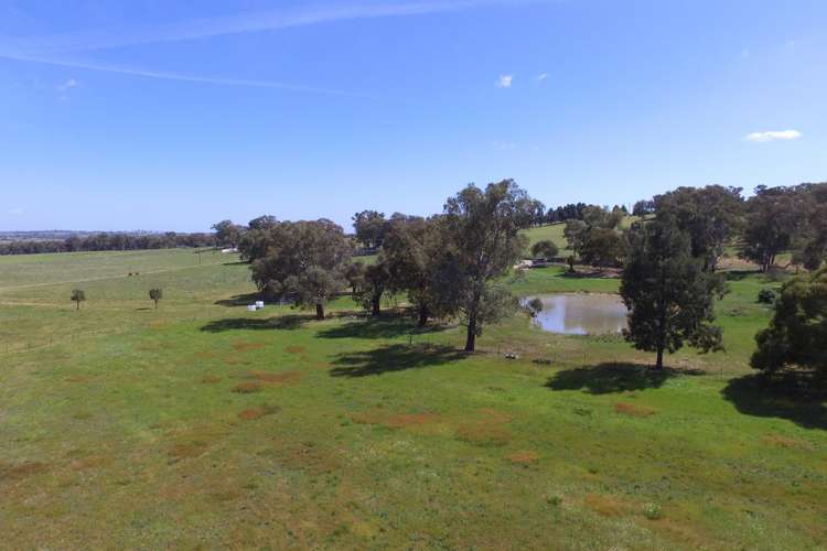 Sixth view of Homely residentialLand listing, 111 Forbes Lane, Young NSW 2594
