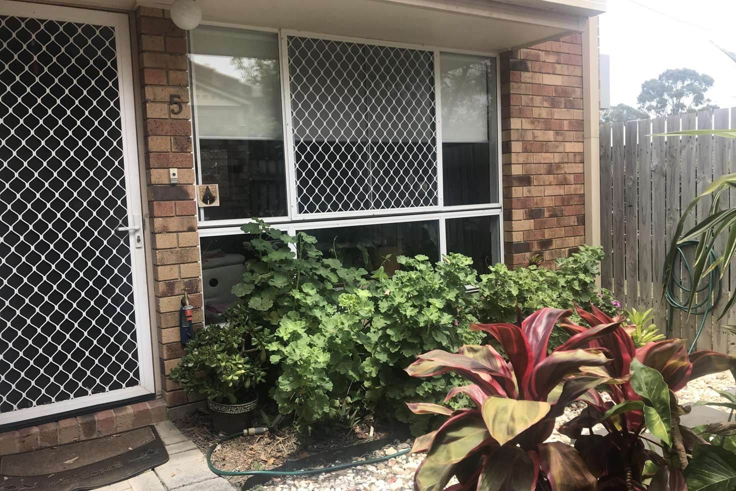 Main view of Homely house listing, 5/62-64 Abelia Street, Alexandra Hills QLD 4161