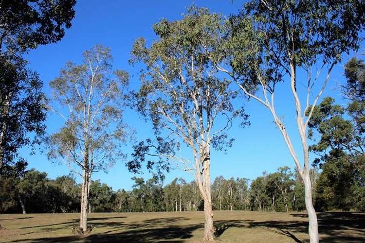 Seventh view of Homely residentialLand listing, 651 Lancaster Lane (lot 80), Cooroibah QLD 4565