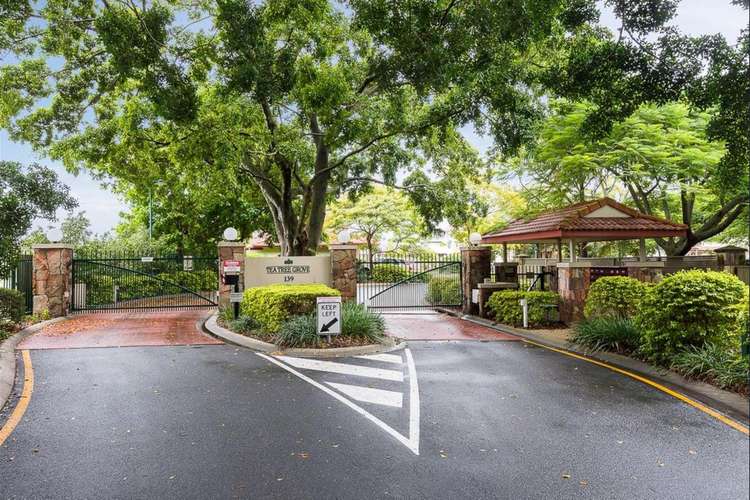 Second view of Homely townhouse listing, 56/139 Pring Street, Hendra QLD 4011