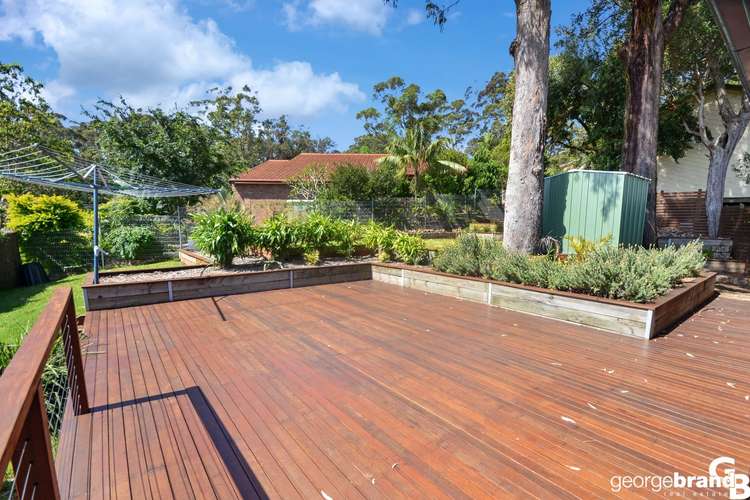 Main view of Homely house listing, 35 Cabbage Tree Avenue, Avoca Beach NSW 2251