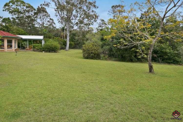 Main view of Homely house listing, ID:21125047/11 Tipuana Drive, Capalaba QLD 4157