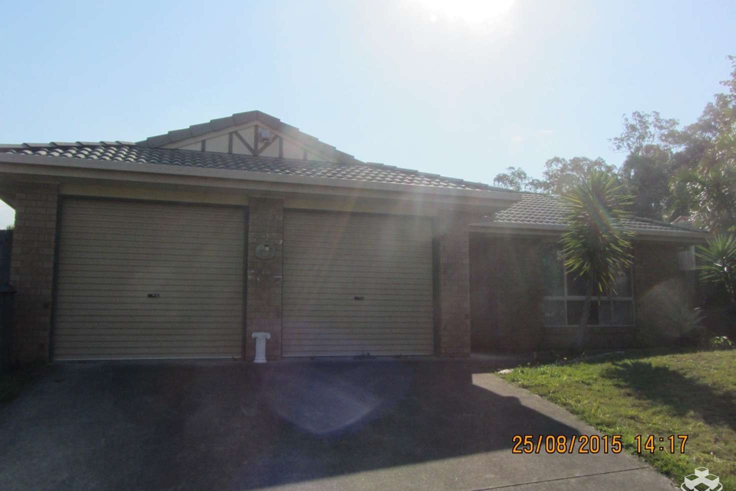 Main view of Homely house listing, ID:3911856/10 antrim st, acacia ridge QLD 4110