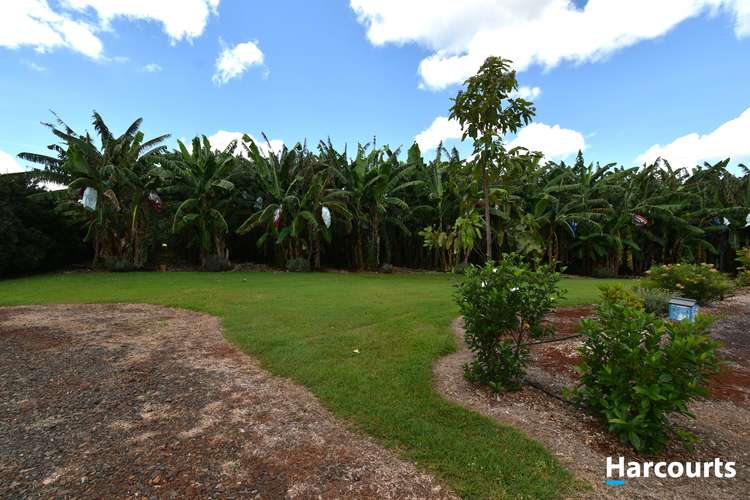 Fourth view of Homely horticulture listing, 315 Huxley Road, North Isis QLD 4660
