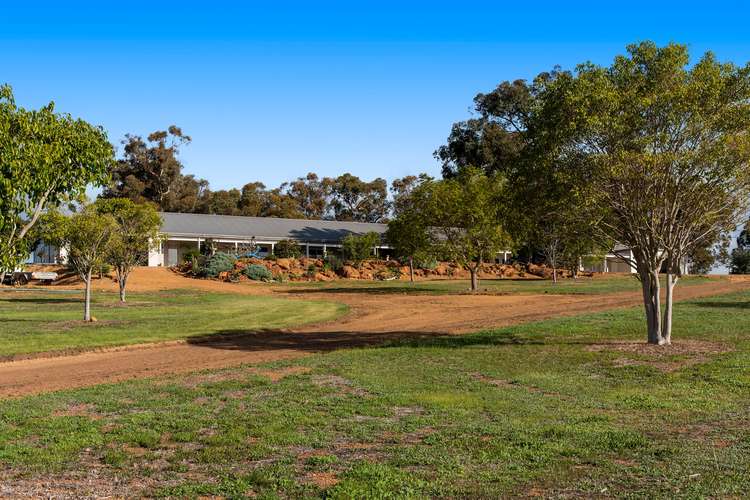 38 Redgum Court, Wandering WA 6308