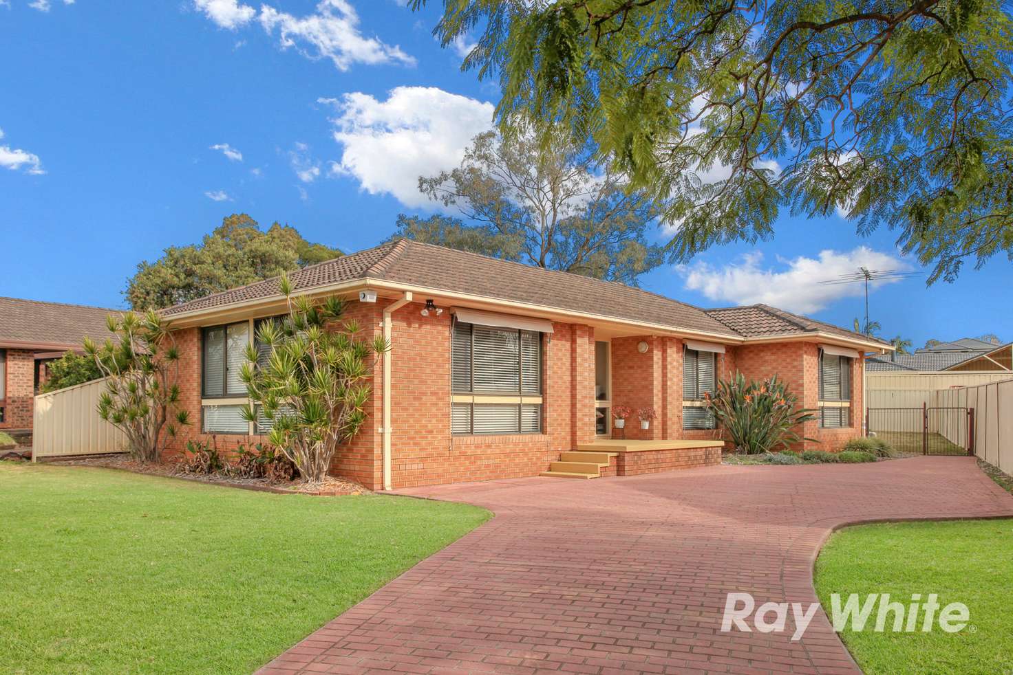 Main view of Homely house listing, 19 Mccartney Crescent, St Clair NSW 2759