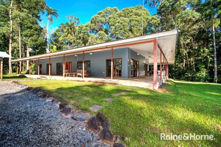 Main view of Homely house listing, 1509 Cape Tribulation Road, Cow Bay, Daintree QLD 4873