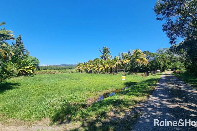 Main view of Homely residentialLand listing, 39 McDowall Lane, Lower Daintree QLD 4873
