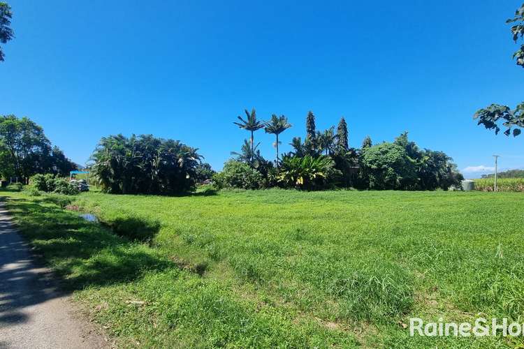 Fourth view of Homely residentialLand listing, 39 McDowall Lane, Lower Daintree QLD 4873