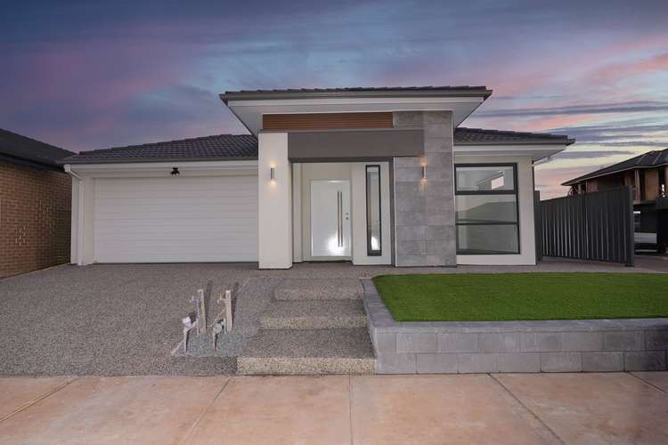 17 Ivory Street, Cobblebank VIC 3338