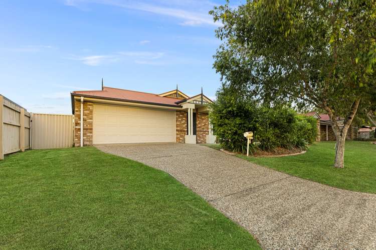 Main view of Homely house listing, 12 McClelland Street, Sippy Downs QLD 4556