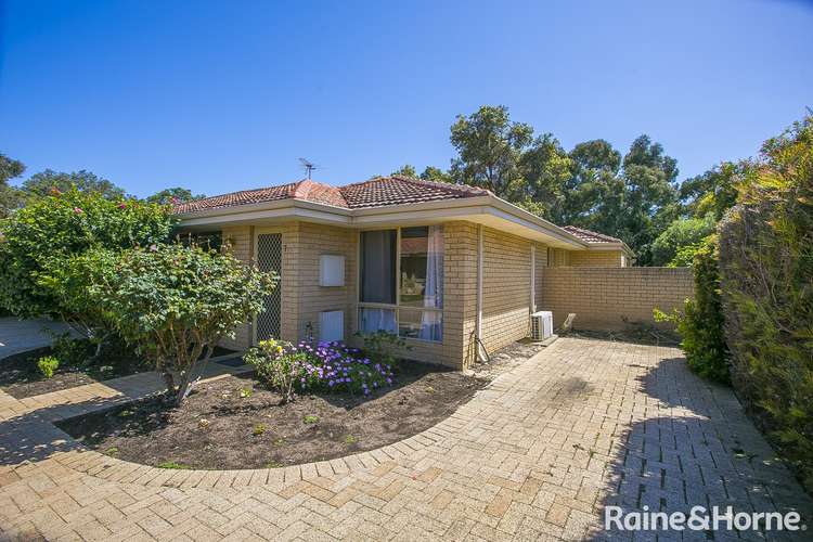Main view of Homely villa listing, 7/4 Muriel Street, Middle Swan WA 6056