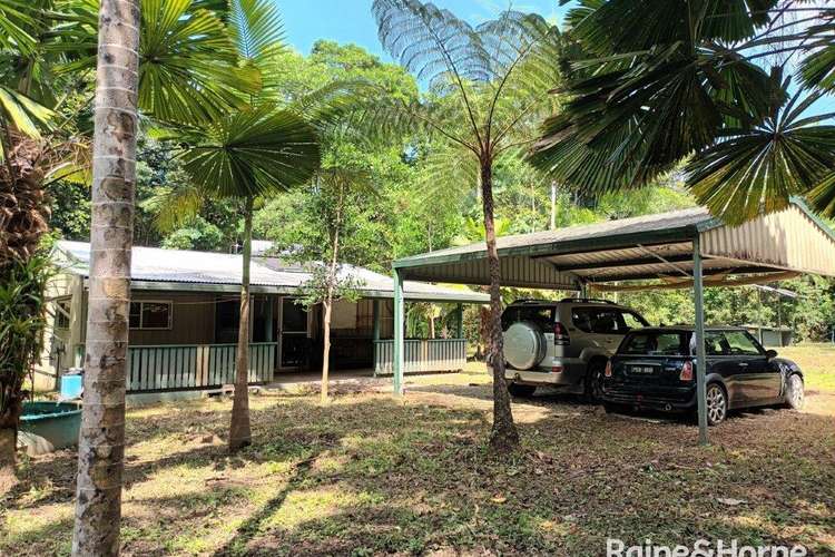 Main view of Homely house listing, 25 Ronald Road, Forest Creek, Daintree QLD 4873