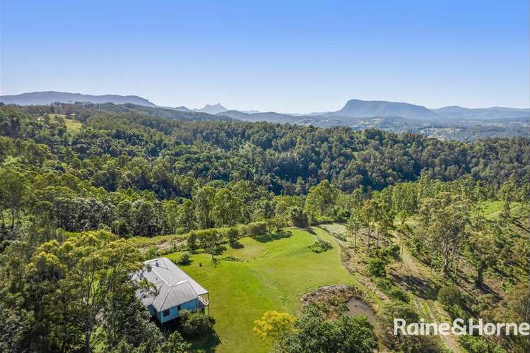 Main view of Homely acreageSemiRural listing, 206 Sargents Road, Cawongla via, Kyogle NSW 2474