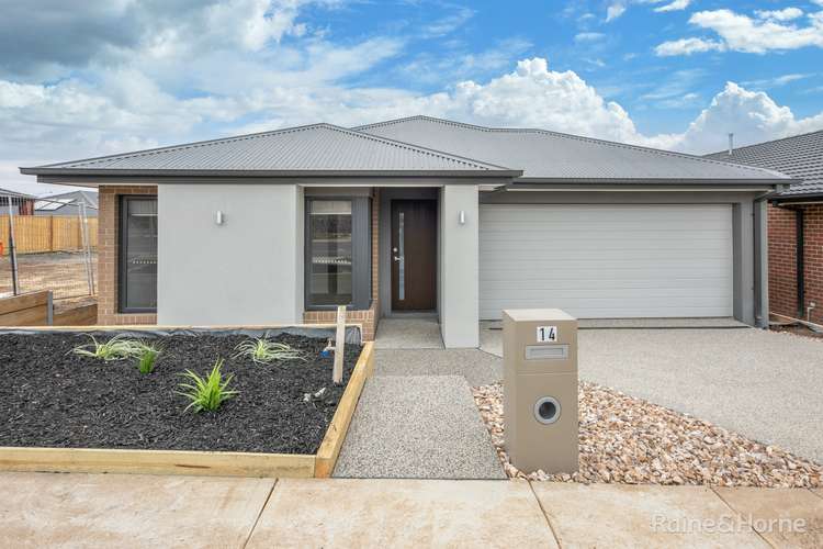 14 Cattlecrossing Way, Sunbury VIC 3429