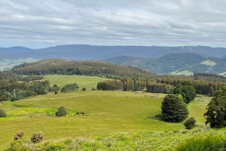 Seventh view of Homely ruralOther listing, 29371 Tasman Highway, Weldborough TAS 7264