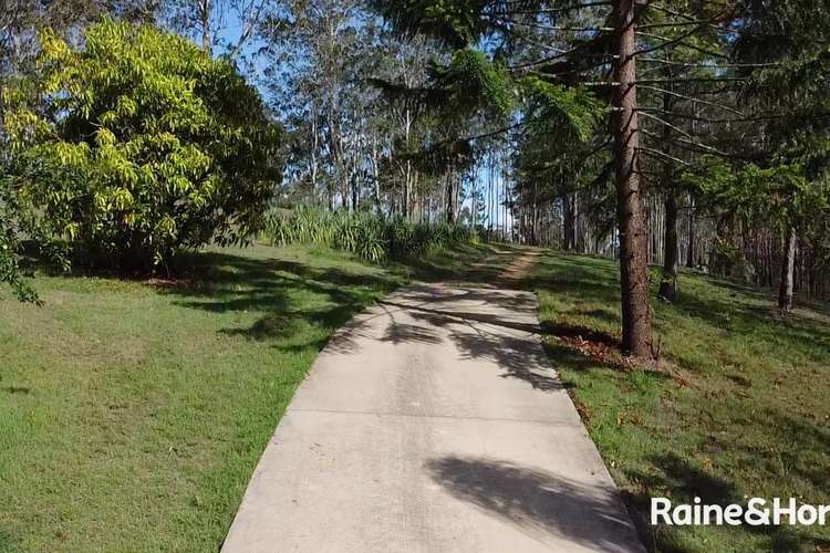 Main view of Homely horticulture listing, 1221A Paddys Flat Road, Tabulam NSW 2469