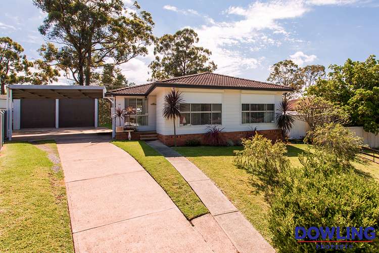 Main view of Homely house listing, 41 Grey Gum Street, Medowie NSW 2318