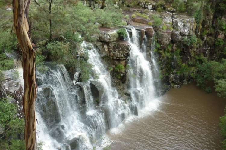 Main view of Homely lifestyle listing, 455 Red Rock Road Via, Drake NSW 2469