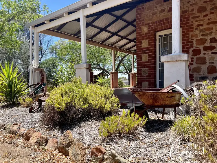 Main view of Homely house listing, 234 Goomalling-Meckering Road, Ucarty West WA 6460
