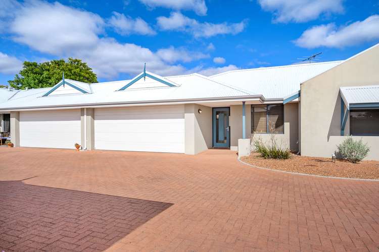 Main view of Homely unit listing, 14/90 Seymour Street, West Busselton WA 6280