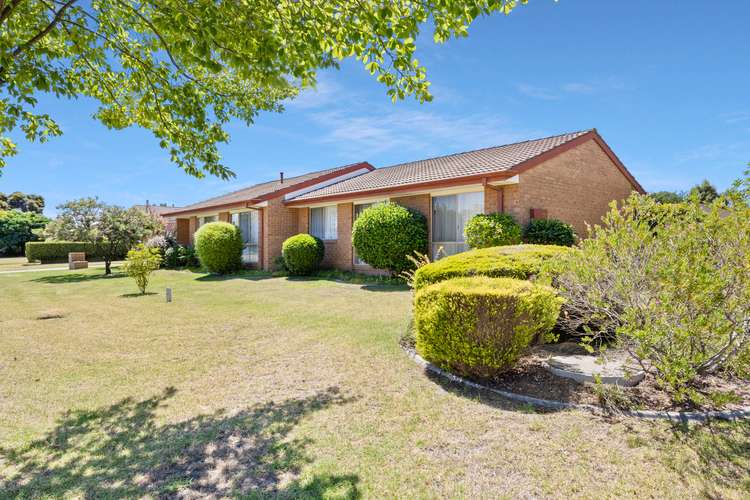 Main view of Homely house listing, 8 Saville Ave, Lavington NSW 2641