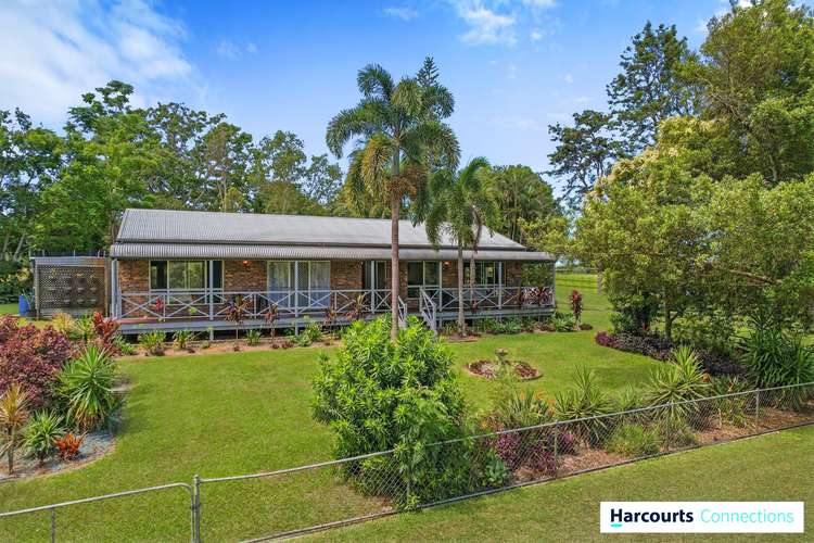Main view of Homely house listing, 38 Appaloosa Close, Caboolture QLD 4510