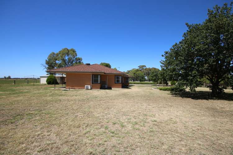 Fourth view of Homely lifestyle listing, 555 Kyabram-Cooma Road, Kyabram South VIC 3620