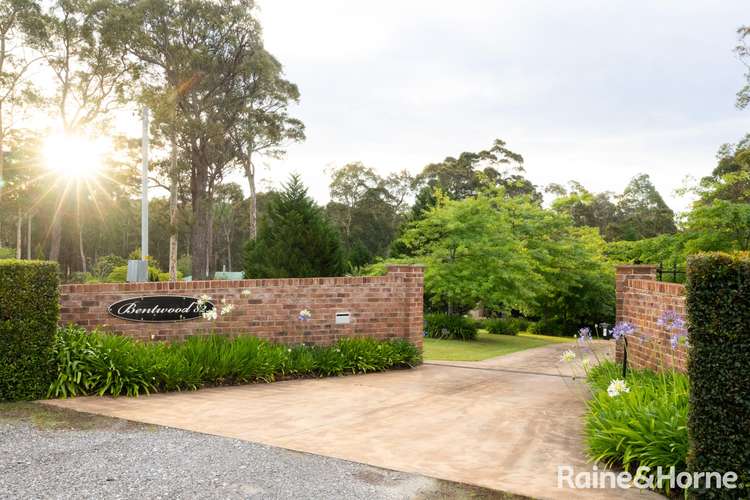 Fifth view of Homely lifestyle listing, 82 Jack Reid Road, Termeil NSW 2539
