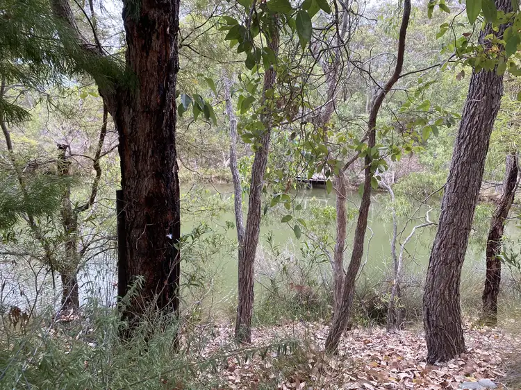 Fourth view of Homely land listing, 8 Flora Grove, Molloy Island WA 6290