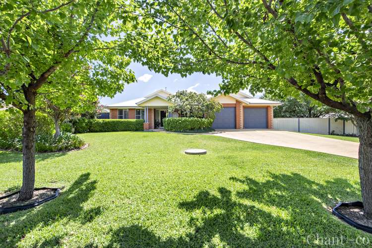 Main view of Homely house listing, 3 Tallwoods Grove, Dubbo NSW 2830