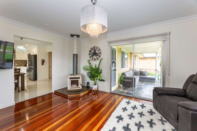 Main view of Homely house listing, 14 Fagg Street, Bundaberg North QLD 4670