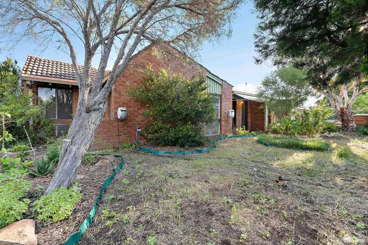 Sixth view of Homely house listing, 8 Gama Court, Parkwood WA 6147