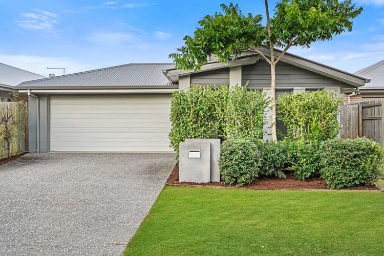 31 Kalbarrie Terrace, Thornlands QLD 4164