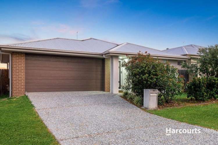 Main view of Homely house listing, 19 Strata Circuit, Yarrabilba QLD 4207