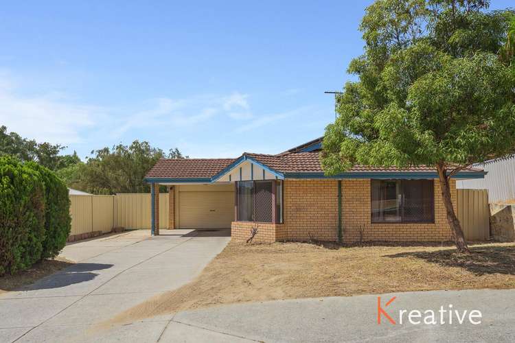 Main view of Homely house listing, 71 Apple Blossom Drive, Mirrabooka WA 6061