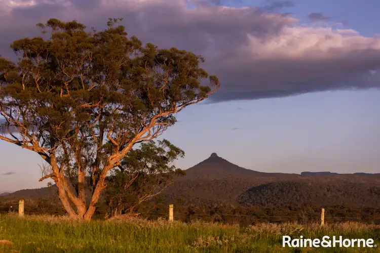 Third view of Homely rural property listing, Lots 1-4, 265-266 Mimosa Park Road (via Milton), Morton NSW 2538