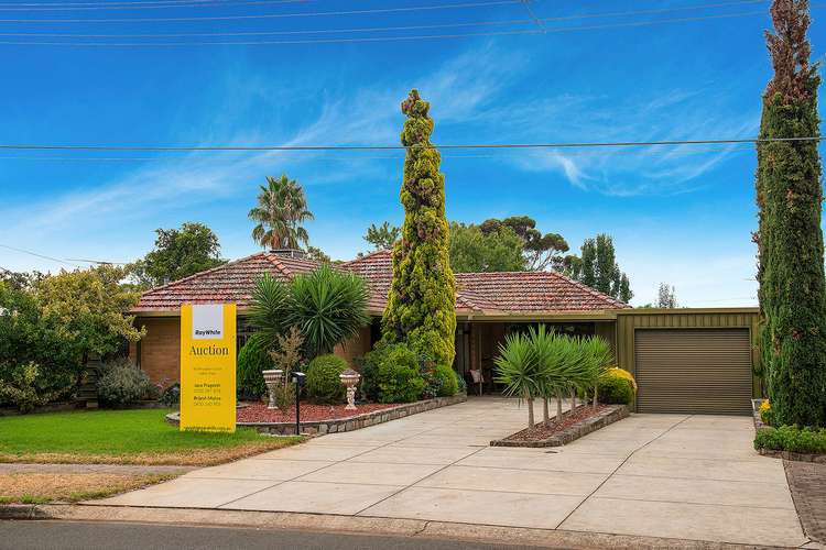 40 Brougham Drive, Valley View SA 5093
