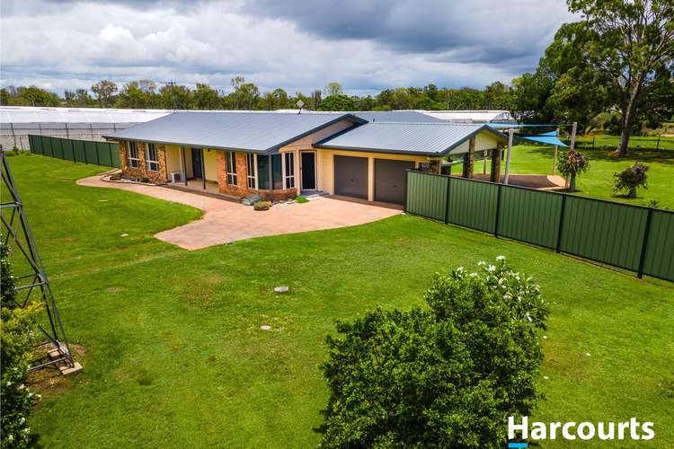 Main view of Homely house listing, 119 Fallons Rocks Road, Calavos QLD 4670