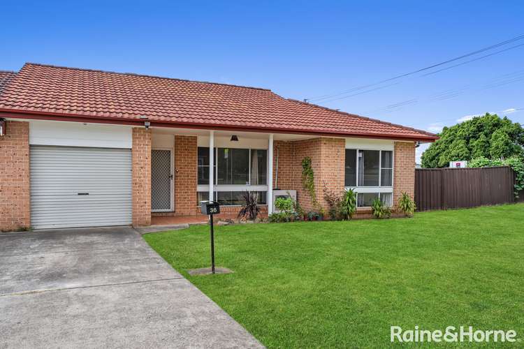 Main view of Homely house listing, 36 Warwick Street, Minto NSW 2566