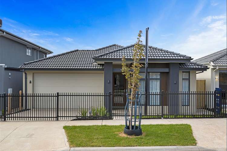 Main view of Homely house listing, 7 Maton Street, Greenvale VIC 3059