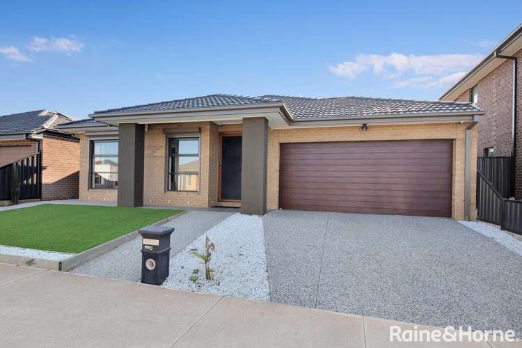 Main view of Homely house listing, 6 Napier Street, Tarneit VIC 3029