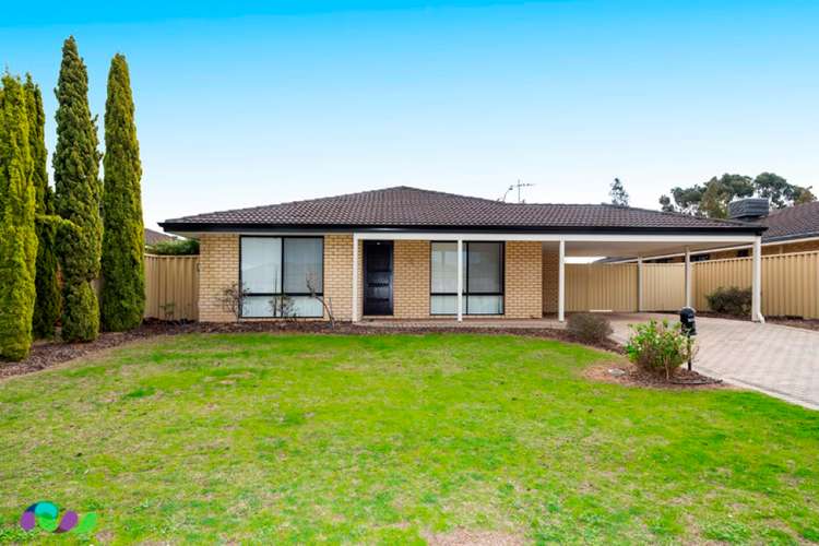 Main view of Homely house listing, 8 Seddon Way, Canning Vale WA 6155