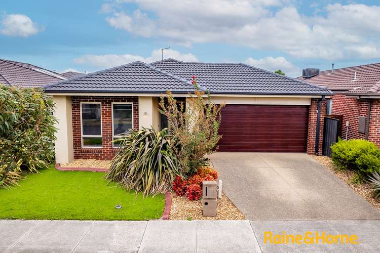Main view of Homely house listing, 18 Elodea Way, Cranbourne North VIC 3977