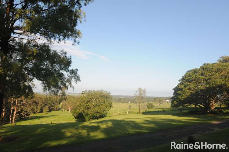 Main view of Homely livestock listing, 55 Wire Lane, Berry NSW 2535