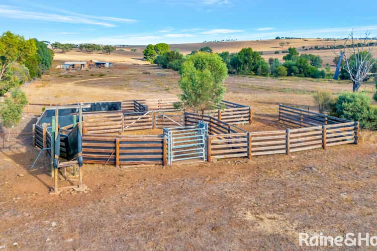 Lot 250 Wellington Road, Woodchester SA 5255