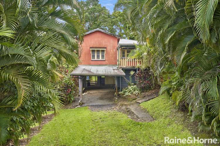 Main view of Homely house listing, 23 Scheu Street, East Innisfail QLD 4860
