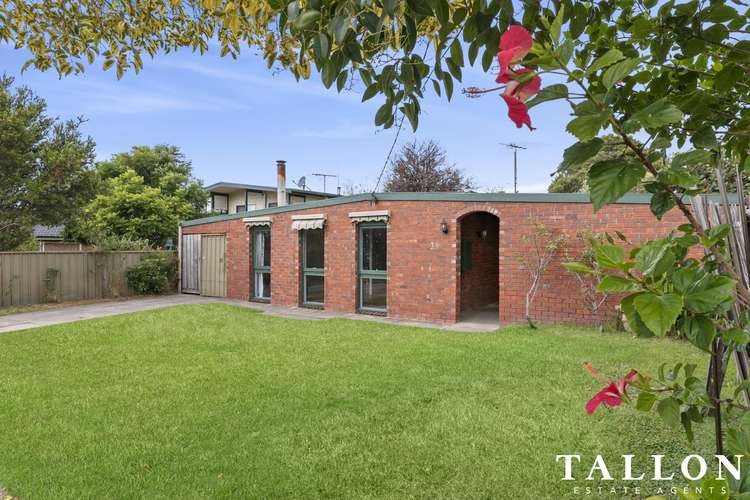 Main view of Homely house listing, 33 Douglas Street, Hastings VIC 3915